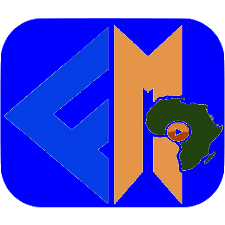 Focus Média Afrique