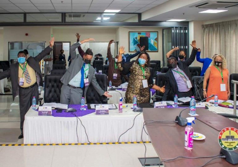 Assemblée nationale: Débat autour du  commerce et la sécurité en Afrique